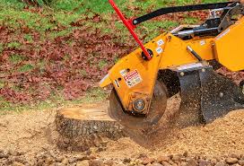 Best Arborist Consultation Services  in Summit, NJ