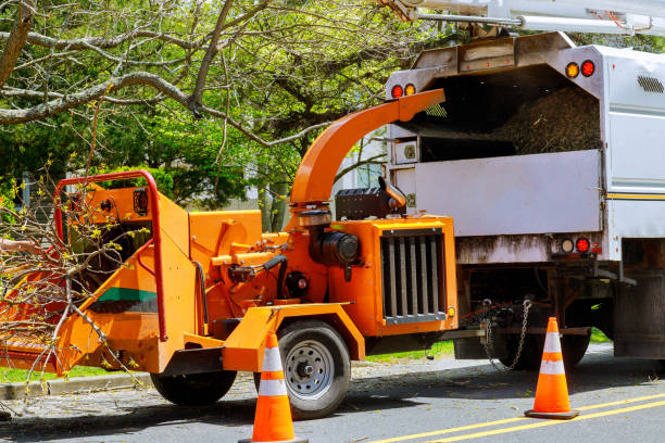Best Grass Overseeding  in Summit, NJ