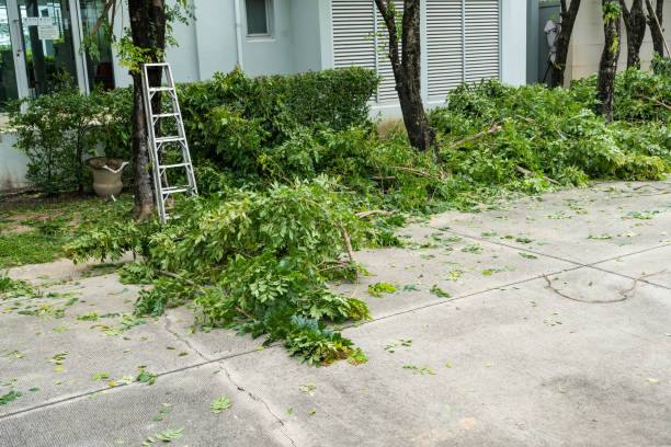 Best Utility Line Clearance  in Summit, NJ