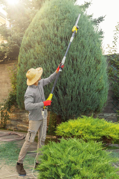 Best Firewood Processing and Delivery  in Summit, NJ